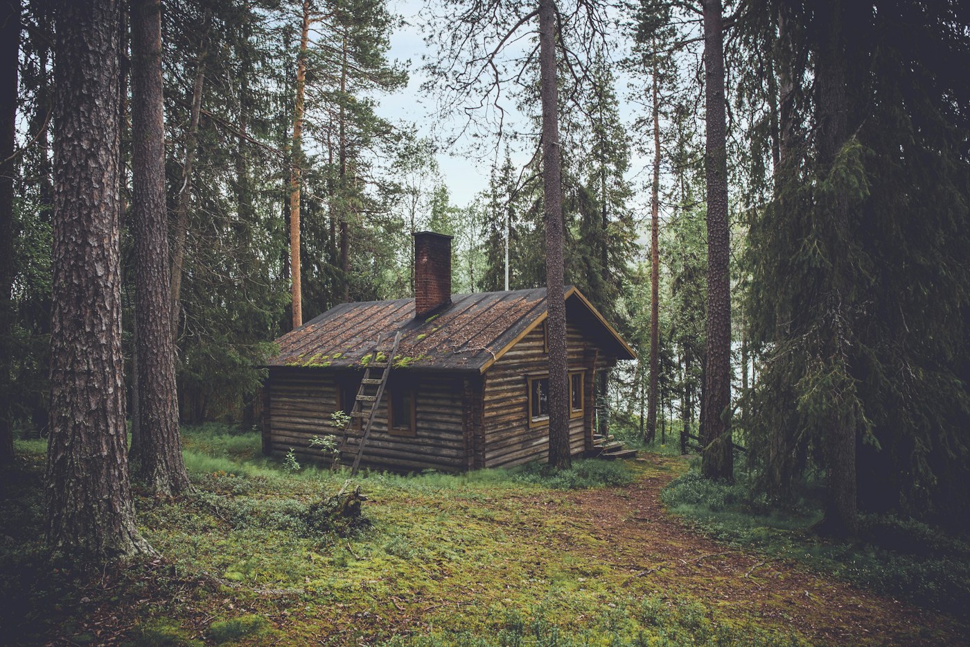 A timber cabin tucked into a quiet forest